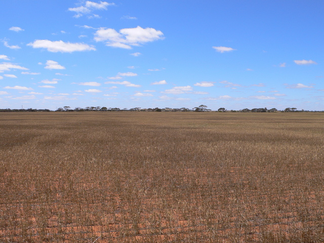 Looking East from S25 E115