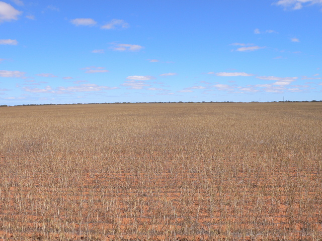 Looking West from S28 E115