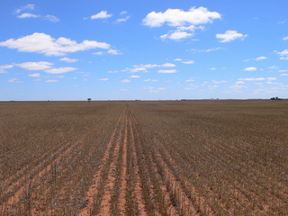 #1: Looking North from S28 E115