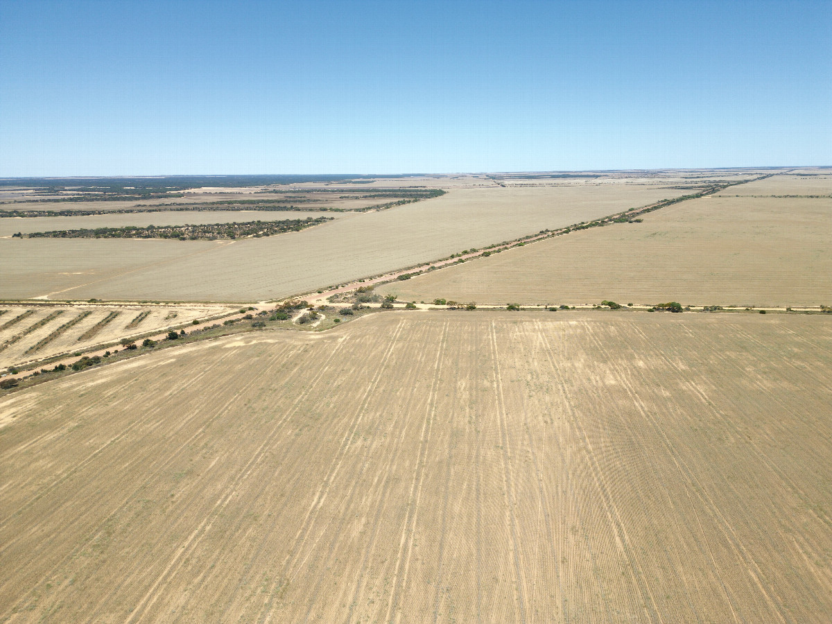 View South, from 120m above the point