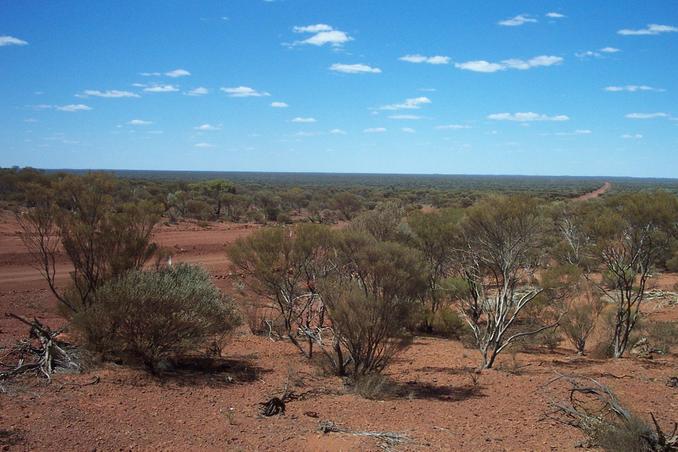 The Darlot Rd in general vicinity of confluence ( 20km)