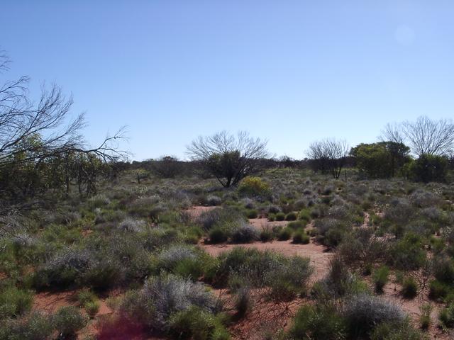 View west from confluence