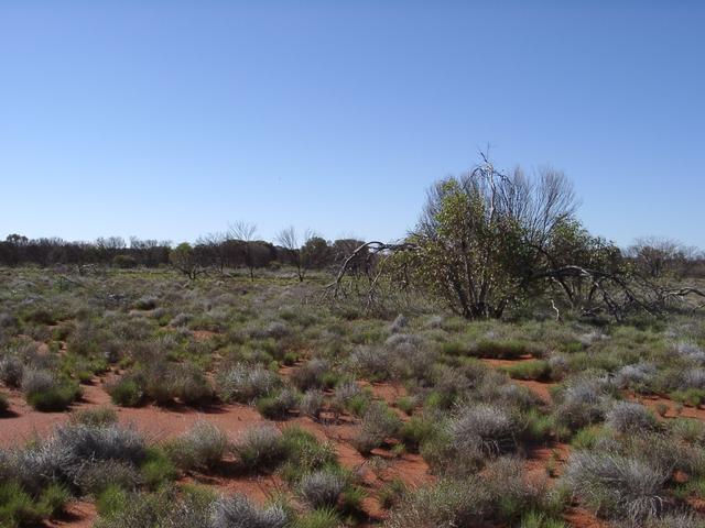 View north from confluence