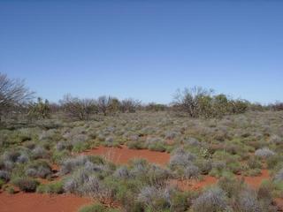 #1: View east from confluence