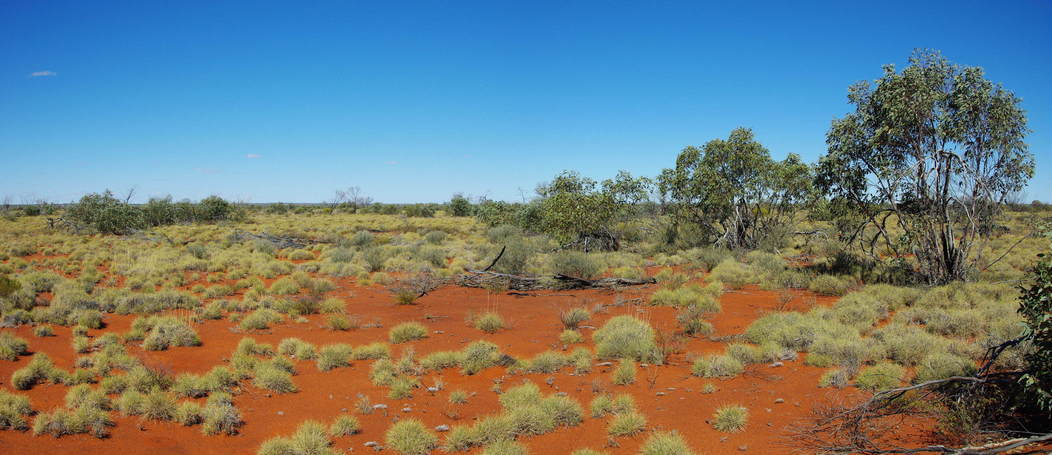 General View of Confluence Area