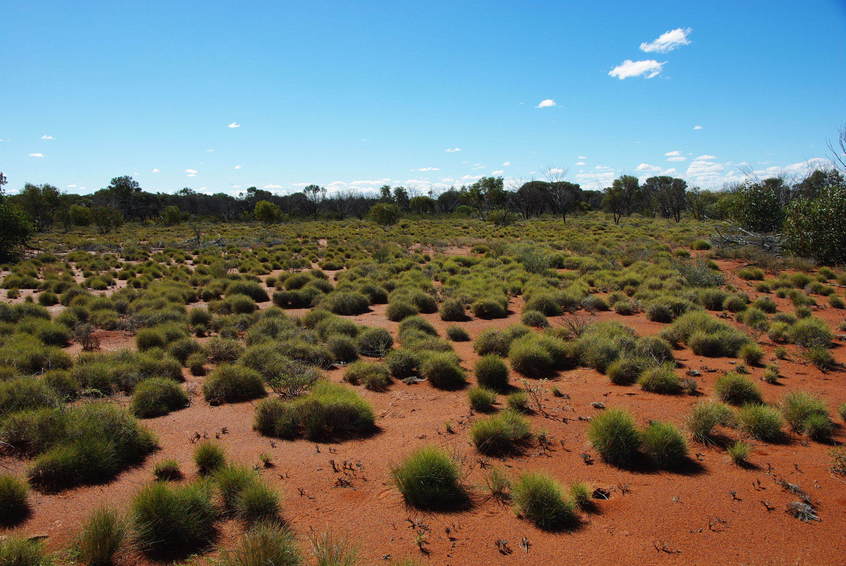 Looking North from the Confluence