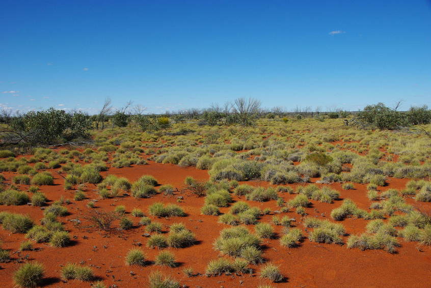 Looking East from the Confluence