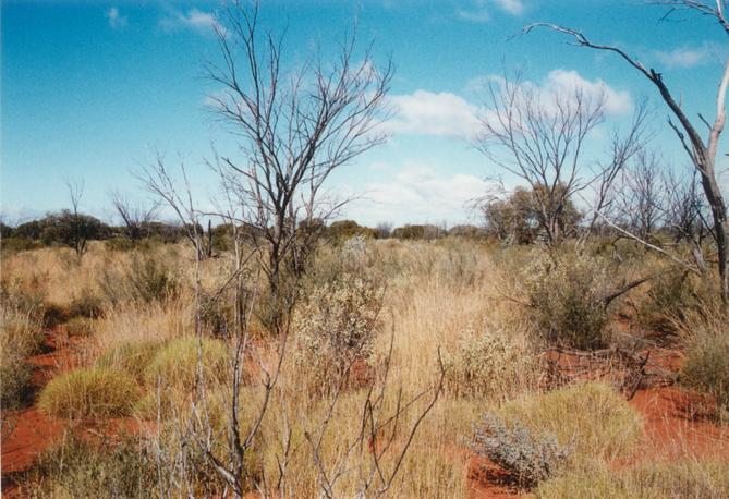 View to the south