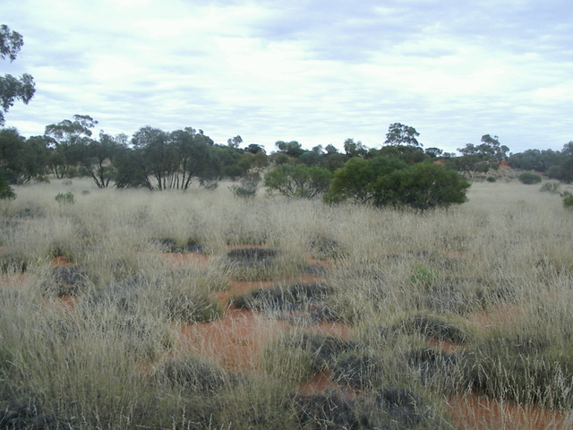 View of the confluence