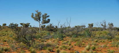 #1: General View of Confluence Area