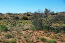 #2: Looking North from the Confluence