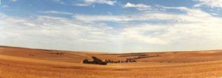 #1: Panorama looking north towards the Marloo Homestead.