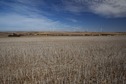 #2: View West (towards Connolly Road, 800 m away, with a wind farm beyond)