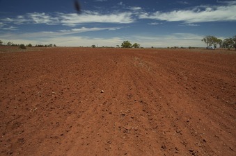 #1: View South (the blob at the top is probably an attention-seeking fly)