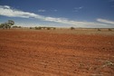 #2: View West (towards the dirt road, 75 m away)