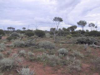 #1: Confluence point looking north