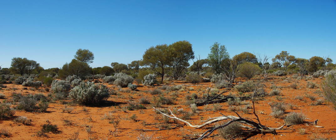 General View of Confluence Area