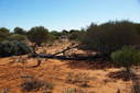 #2: Looking North from the Confluence