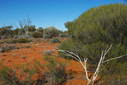 #3: Looking South from the Confluence