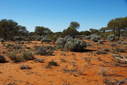 #4: Looking East from the Confluence