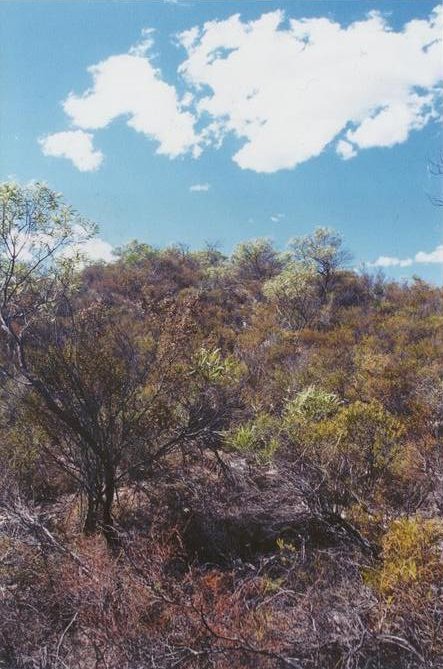 View east to the small hill with another salt lake on the other side