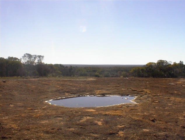 Looking east 800 metres from confluence