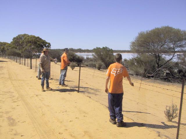 Vermin proof fence at Lake Deborah