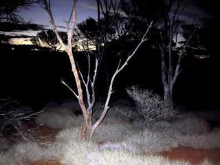 #1: Looking west from the confluence