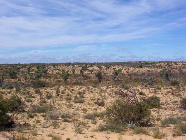 2.5kms of sand dunes