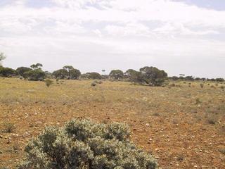 #1: Confluence point looking north