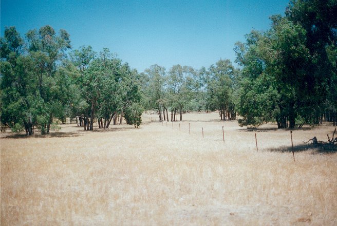 The confluence is 1.4kms down this fenceline