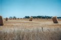 #5: Western Australia's equivalent of Stonehenge - Hayhenge