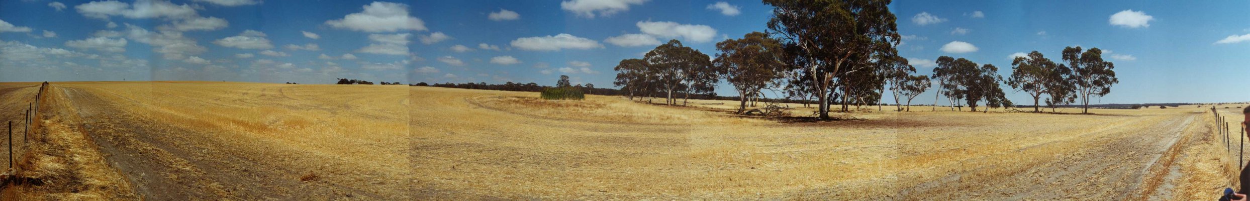 180° view facing west