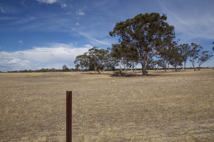 View West (towards Uberin Road, 500 m away)