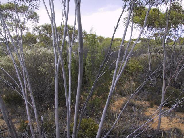 Looking north over the confluence area