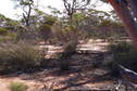 #2: Looking North from the Confluence