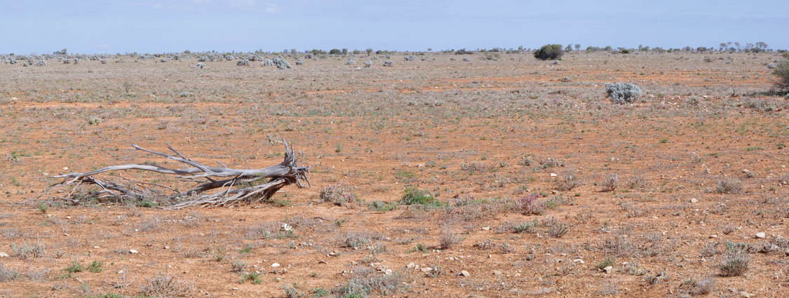 General View of the Confluence Area