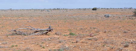 #1: General View of the Confluence Area