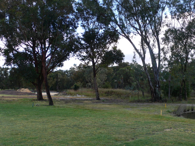 Looking North from S32 E116