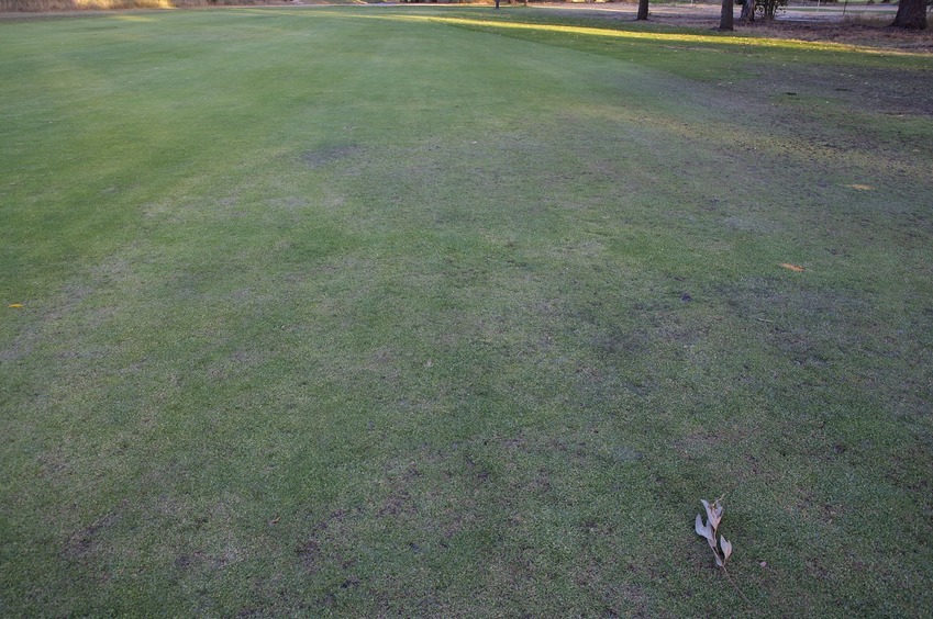 The confluence point lies on a fairway of a golf course