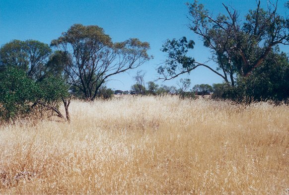 The view east from the confluence