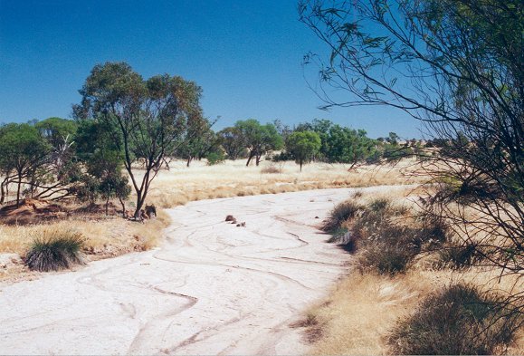 From the road, looking towards s32e117