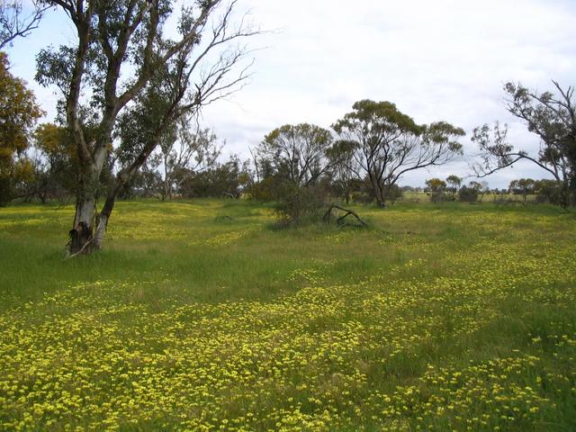 Looking South