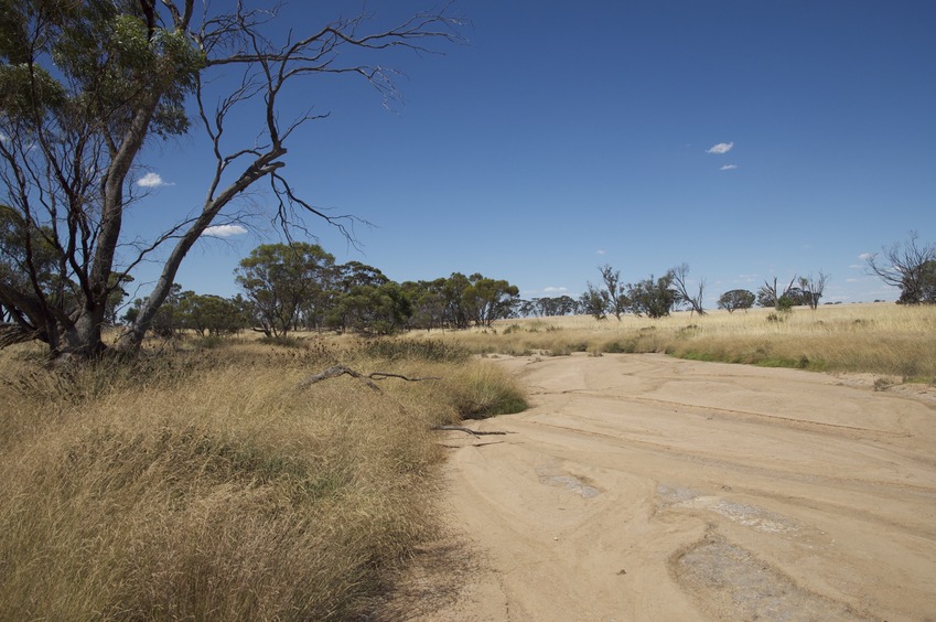 A closeup view of the dry creek bed, near the confluence point