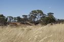 #3: View North (towards the bridge where Northbourne Road crosses the creek)