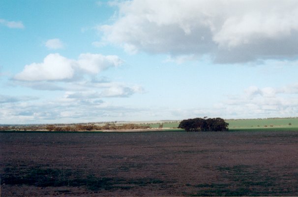 Looking east from the confluence.