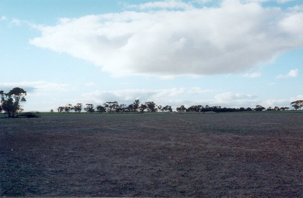 Looking north from the confluence.