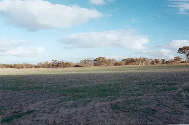 Looking south from the confluence.