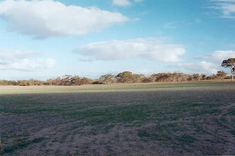 #1: Looking south from the confluence.