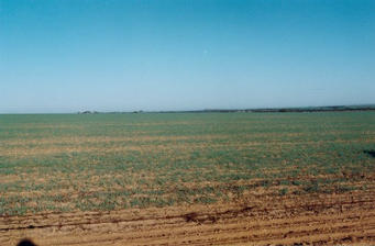 #1: Looking towards the confluence, 872m out there.